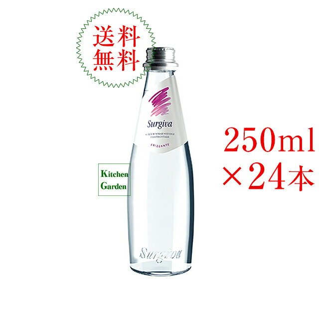 【あす楽】全国送料無料スルジーヴァ　ミネラルウォーター　スパークリング　250ml　1ケース（計24本）【輸入食品】