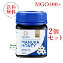 全国送料無料【新商品】コサナ マヌカハニーMGO400+ 250g 2個セット【輸入食品】