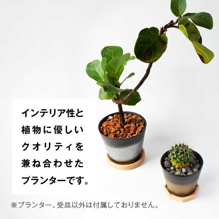 美濃焼 インテリア 有無釉鉢 （木製鉢受け付き） L・M 2セット インテリア 鉢 植木...
