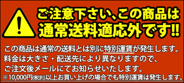 電気 今川焼（回転焼） NI-40【運賃別途】 【kmaa】