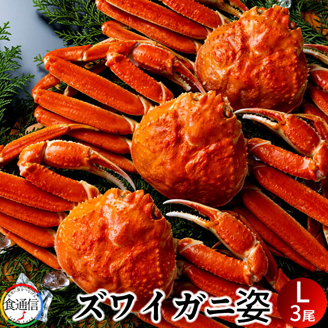 ずわいがに姿 1.5kg（3尾入）ボイル かに ずわい蟹 ズワイガニ 姿 カニミソ カニ鍋 焼きガニ ...