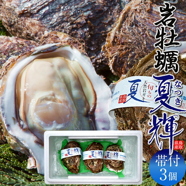 樂天商城 - 岩牡蠣 生がき［3個入］夏輝なつき 殻付き生牡蠣 天然岩ガキ 特大 ブランド認定帯付き 生食用 旬カキ 鳥取県産 岩がき いわがき ブランド牡蛎［父の日ギフト お中元］