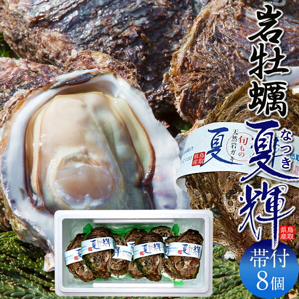 樂天商城 - 岩牡蠣 生がき［8個入］夏輝なつき 殻付き生牡蠣 天然岩ガキ 特大 ブランド認定帯付き 生食用 旬カキ 鳥取県産 岩がき いわがき ブランド牡蛎［父の日ギフト お中元］