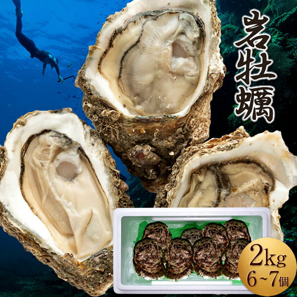 岩牡蠣 生がき 約2kg［6-7個］殻付き生牡蠣 天然岩ガキ 生食カキ 鳥取県産 日本海 カキフライ［お中元ギフト］