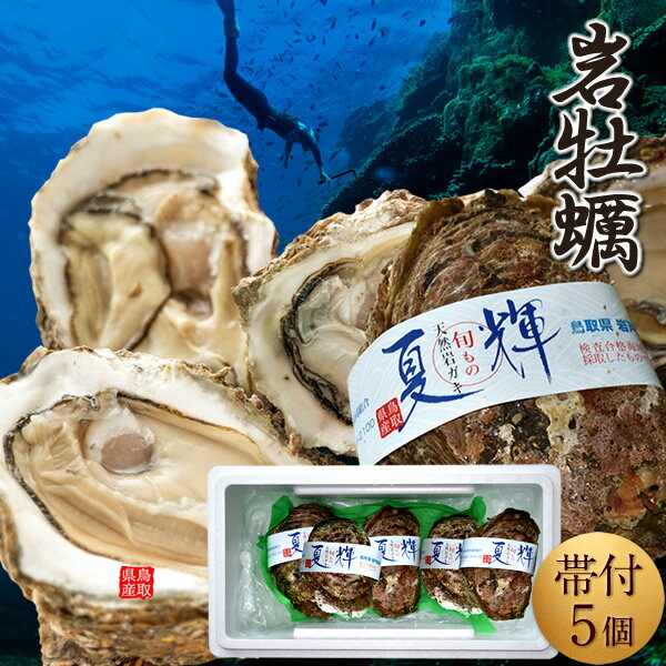 樂天商城 - 岩牡蠣 生がき［5個入］夏輝なつき 殻付き生牡蠣 天然岩ガキ 特大 ブランド認定帯付き 生食用 旬カキ 鳥取県産 岩がき いわがき ブランド牡蛎［父の日ギフト お中元］