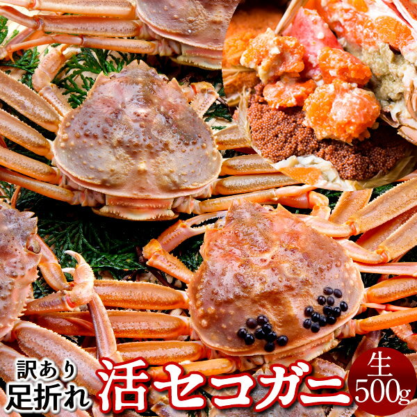 生セコガニ 訳あり［B小］500g(4-5尾) 
