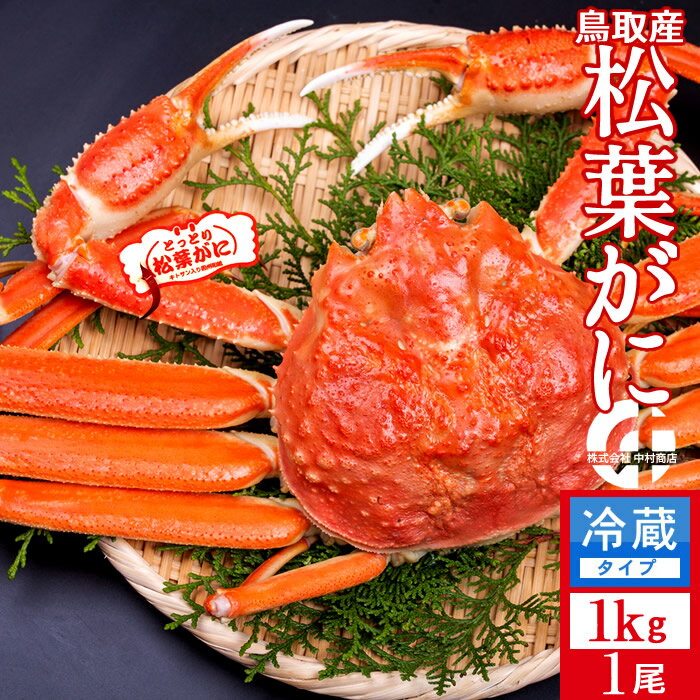 浜ゆで松葉ガニ［特大］1kg タグ付き［かに漁解禁2025］ボイル松葉蟹 茹で蟹 新物 鳥取県産 ブランドマツバガニ 日本海ズワイガニ［新春初売り お年賀ギフト］
