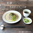 そば食器 若草 1人前 ざるそばセット そば食器セット 麺皿 そば猪口 スノコ 各1 日本製 美濃焼