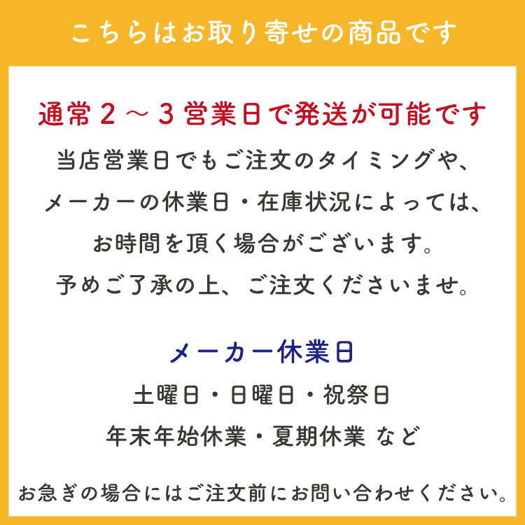 はねないたわし大型 2