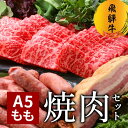 飛騨牛 A5 もも 焼肉 セット BBQ バーベキュー 焼き肉 ギフト 食品