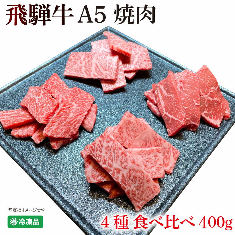 飛騨牛 飛騨牛A5 焼肉 4種 食べ比べ 400g