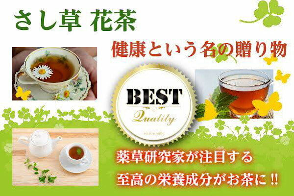 沖縄さし草花茶（ティーバック15包）沖縄自生・地産のハーブ茶栄養成分豊富な至高の健康茶