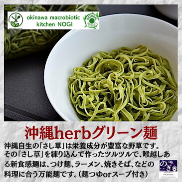 NOGI グリーン つけ麺 （和風）8食セット（無添加麺つゆ）沖縄の自然が育んだ「さし草 ヘルシー ハーブ 麺）