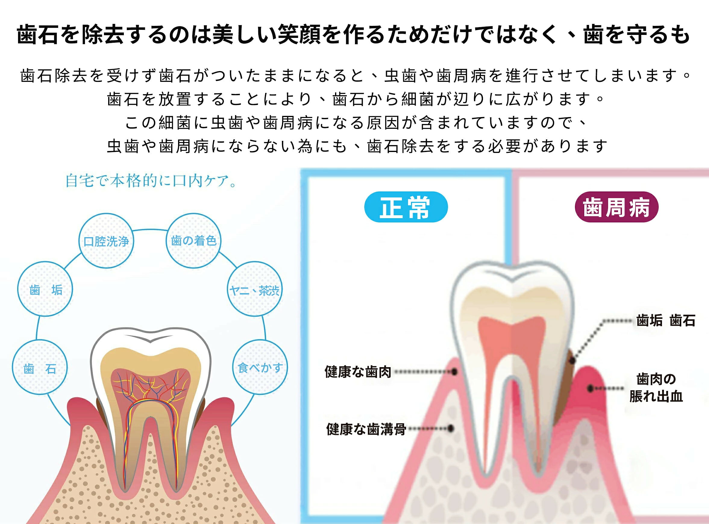 ��Ķ���� �۸��������� ���ż� ���� ���м�꼫ʬ ���� ���� ��ư ���� ���� �� ��˼�� �� ��˼�� ���꡼�ʡ� �� ���֥֥饷 ���Ф� ���� ���Х��� ������� ���ѥġ��� Ķ���� �������顼 ���� ���ܸ�������