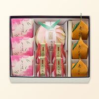 送料無料 web限定 母の日詰合せ 小 清水白桃しぐれ3 清水白桃ぜりぃ1 花桜桃 4 歳々果3 母の日掛紙付 宗家源吉兆庵 1ページ gランキング