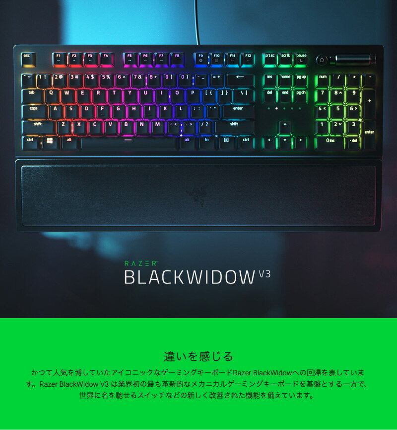 Premium Selection 楽天市場店のRazer BlackWidow V3 Green Switch 英語配列 緑軸 メカニカル ゲーミングキーボード # RZ03-03540100-R3M1 レーザー (キーボード)｜アングル2