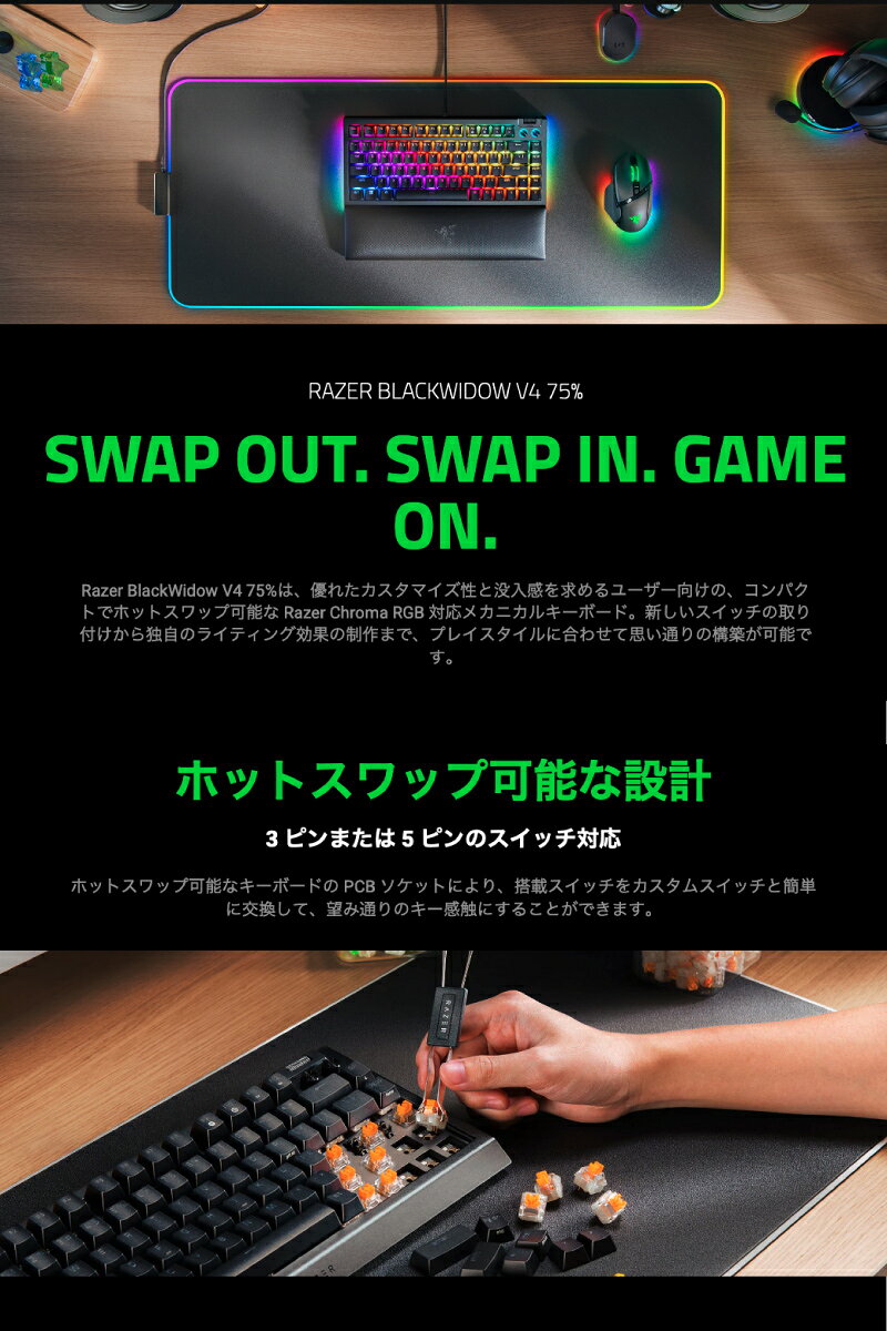 BlackWidow V4 75% サムネイル6