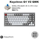 【在庫限り】 Keychron Q1 V2 QMK シルバーグレー Mac英語配列 有線 テンキーレス ホットスワップ Gateron G Pro 青軸 81キー RGBライト カスタムメカニカルキーボード ノブバージョン # Q1-N2-US キークロン (キーボード)(2)