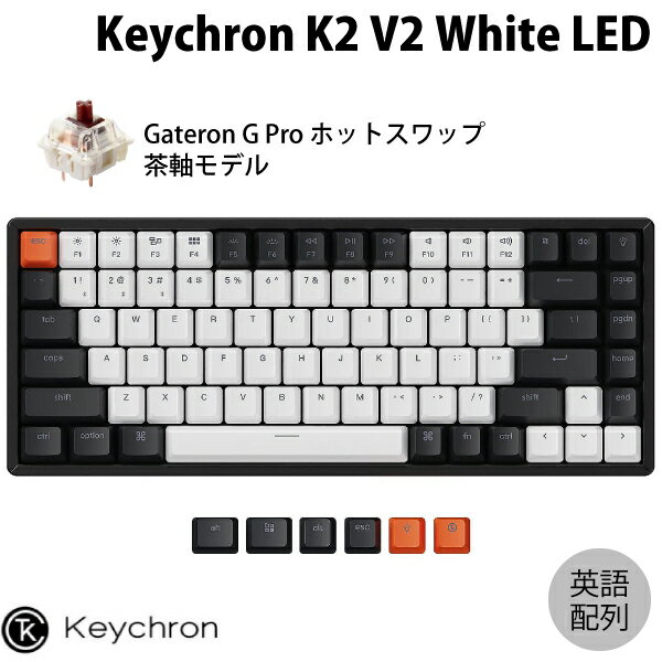 Keychron K2 V2 Mac英語配列 有線 / Bluetooth 5.1 ワイヤレス 両対応 テンキーレス ホットスワップ Gateron G Pro 茶軸 84キー WHITE ..