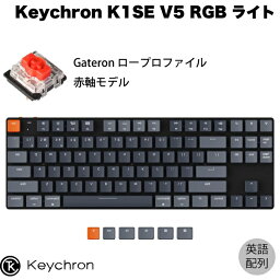 Keychron K1 SE V5 Mac英語配列 有線 / Bluetooth 5.1 ワイヤレス 両対応 テンキーレス ロープロファイル Gateron 赤軸 87キー RGBライト メカニカルキーボード # K1SE-B1-US キークロン (Bluetoothキーボード) 【国内正規品】