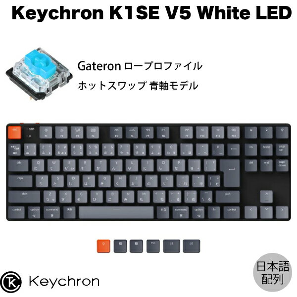 Keychron K1 SE V5 Mac日本語配列 有線 / Bluetooth 5.1 ワイヤレス 両対応 テンキーレス ロープロファイル ホットスワップ Gateron 青軸 91キー White LEDライト メカニカルキーボード # K1SE-G2-JIS キークロン