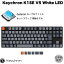 Keychron K1 SE V5 Mac日本語配列 有線 / Bluetooth 5.1 ワイヤレス 両対応 テンキーレス ロープロファイル ホットスワップ Gateron 青軸 91キー White LEDライト メカニカルキーボード # K1SE-G2-JIS キークロン