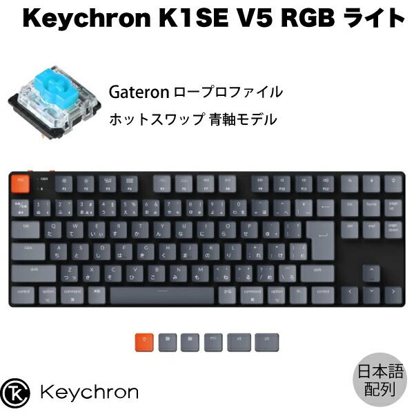 【あす楽】 Keychron K1 SE V5 Mac日本語配列 有線 / Bluetooth 5.1 ワイヤレス 両対応 テンキーレス ロープロファイル ホットスワップ Gateron 青軸 91キー RGBライト メカニカルキーボード K1SE-H2-JIS キークロン