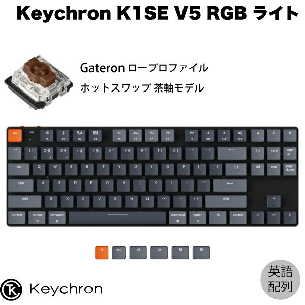 Keychron K1 SE V5 Mac英語配列 有線 / Bluetooth 5.1 ワイヤレス 両対応 テンキーレス ロープロファイル ホットスワップ Gateron 茶軸 87キー RGBライト メカニカルキーボード # K1SE-H3-US キークロン 
