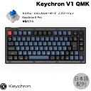 Keychron V1 QMK フロステッドブラック(半透明) Mac日本語配列 有線 テンキーレス ホットスワップ Keychron K Pro 青軸 85キー RGBライト カスタムメカニカルキーボード ノブバージョン # V1-C2-JIS キークロン (キーボード)