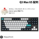 Keychron Q3 Max QMK/VIA カーボンブラック Mac英語配列 有線 / Bluetooth 5.1 ワイヤレス 両対応 テンキーレス ホットスワップ Gateron Jupiter 赤軸 RGBライト カスタムメカニカルキーボード ノブバージョン # Q3M-M1-US キークロン(2)