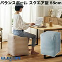 エレコム エクリアスポーツ バランスボール スクエア型 55cm ファブリックカバー付き (生活雑貨)
