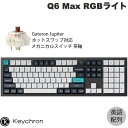 Keychron Q6 Max QMK/VIA カーボンブラック Mac英語配列 有線 / Bluetooth 5.1 / 2.4GHz ワイヤレス 両対応 フルサイズ ホットスワップ Gateron Jupiter RGB 茶軸 RGBライト カスタムメカニカルキーボード ノブバージョン キークロン