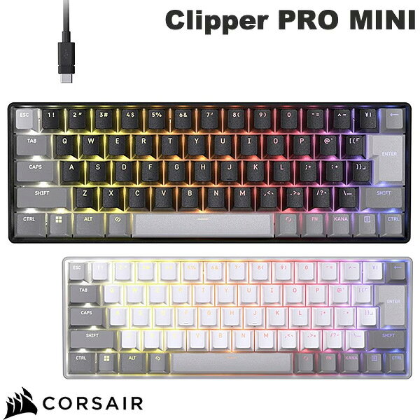 CLIPPER PRO MINI 60 CHR-979101J-JP [�u���b�N]