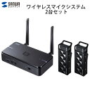 SANWA ワイヤレスマイクシステム 2台セット コンデンサータイプ 単一指向性 # MM-MCWSET サンワサプライ (マイクロホン)