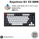 yyz Keychron Q1 V2 QMK J[{ubN Macpz L eL[X zbgXbv Gateron G Pro  81L[ RGBCg JX^JjJL[{[h muo[W # Q1-M2-US L[N (L[{[h) USz