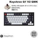 Keychron Q1 V2 QMK カーボンブラック Mac英語配列 有線 テンキーレス ホットスワップ Gateron G Pro 茶軸 81キー RGBライト カスタムメカニカルキーボード ノブバージョン Q1-M3-US キークロン (キーボード) US配列