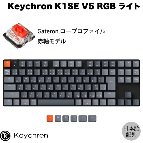 Keychron K1 SE V5 Mac日本語配列 有線 / Bluetooth 5.1 ワイヤレス 両対応 テンキーレス ロープロファイル Gateron 赤軸 91キー RGBライト メカニカルキーボード # K1SE-B1-JIS キークロン (Bluetoothキーボード) JIS配列