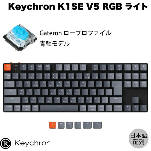 【あす楽】 Keychron K1 SE V5 Mac日本語配列 有線 / Bluetooth 5.1 ワイヤレス 両対応 テンキーレス ロープロファイル Gateron 青軸 91キー RGBライト メカニカルキーボード K1SE-B2-JIS キークロン (Bluetoothキーボード) JIS配列