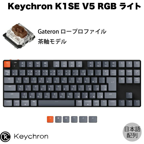 Keychron K1 SE V5 Mac日本語配列 有線 / Bluetooth 5.1 ワイヤレス 両対応 テンキーレス ロープロファイル Gateron 茶軸 91キー RGBライト メカニカルキーボード # K1SE-B3-JIS キークロン (Bluetoothキーボード) JIS
