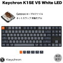 Keychron K1 SE V5 Mac英語配列 有線 / Bluetooth 5.1 ワイヤレス 両対応 テンキーレス ロープロファイル ホットスワップ Gateron 茶軸 87キー White LEDライト メカニカルキーボード K1SE-G3-US キークロン (Bluetoothキーボード) US