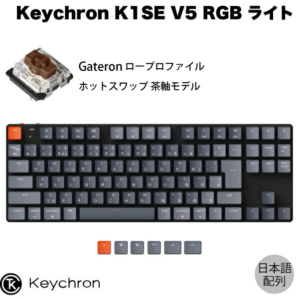 Keychron K1 SE V5 Mac日本語配列 有線 / Bluetooth 5.1 ワイヤレス 両対応 テンキーレス ロープロファイル ホットスワップ Gateron 茶軸 91キー RGBライト メカニカルキーボード # K1SE-H3-JIS キークロン JIS