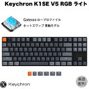 Keychron K1 SE V5 Mac英語配列 有線 / Bluetooth 5.1 ワイヤレス 両対応 テンキーレス ロープロファイル ホットスワップ Gateron 青軸 87キー RGBライト メカニカルキーボード K1SE-H2-US キークロン (Bluetoothキーボード) US配列