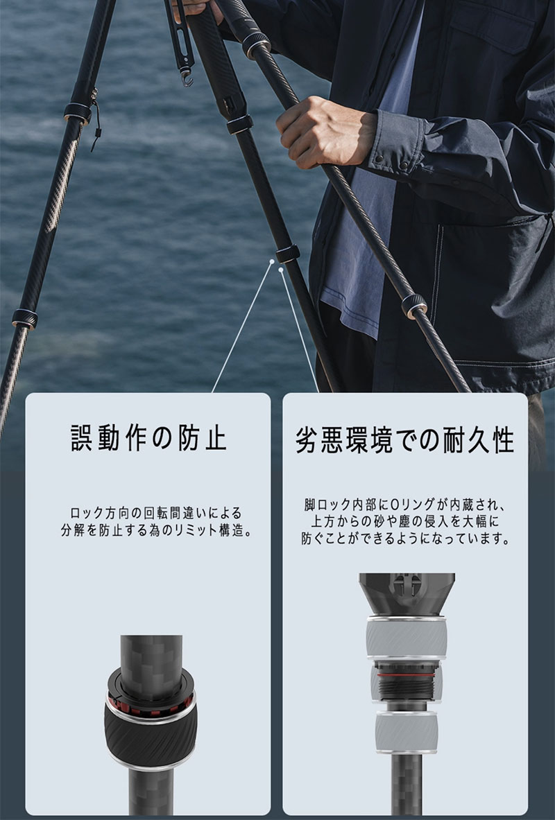 FALCAM TreeRoot �����å����å��ȥ�٥뻰�� ���硼�ȥ��󥿡�����७�å� ����ʤ� (R141K-A130) # FC4302 �ե��륫�� (����) fsp24