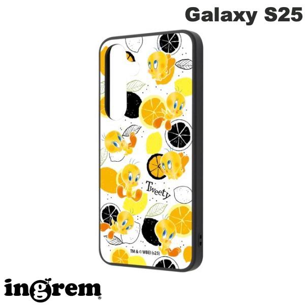 乐天商城 - ［2025］ ingrem Galaxy S25 ルーニー・テューンズ maru 衝撃吸収 バンパー ハイブリッドケース トゥイーティー_総柄 # IQ-WGS25K4TB/TWB2 イングレム (アンドロイドスマホケース・カバー)