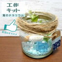 【夏休み工作】簡単・工作キット!海のテラリウム 手作り 自由研究 小学生 低学年 中学年 男の子 女の子 冬休み 手作りキット 宿題 子供会 子ども会 イベント ワークショップ