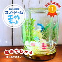 【工作キット】まるでミニ水族館!スノードーム手作りキット / 夏休み 小学生 自由研究 低学年 中学年 高学年 男の子 女の子 親子 簡単 子供会 宿題 貝 海...