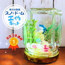 夏休み残りわずか!即日出荷だから間に合う工作キット!これ1つで完成!簡単 手作りスノードーム/ 小学生 自由研究 低学年 中学年 高学年 1年生 2年生 3年生...