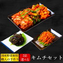 【大人気】2品選べるキムチセット 最大800g 【送料無料】【手作り】【国産野菜】【キムチのキテンカ】【沖縄 離島は計算後別途送料】 北海道別途380円 東北別途200円 