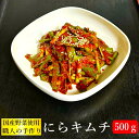 ニラキムチ　500g【キムチのキテンカ】にらキムチ