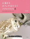 心温まるカフェではたらくフクロウたち/バーゲンブック{中川 波佳 文化出版局 ホーム・ライフ ペット ホーム ライフ 人気 知識 女性 写真 大人}